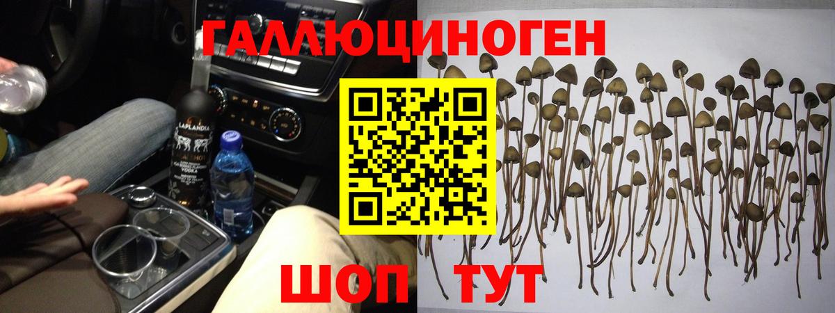 Псилоцибиновые грибы GOLDEN TEACHER  Вход с VPN  Артёмовский 