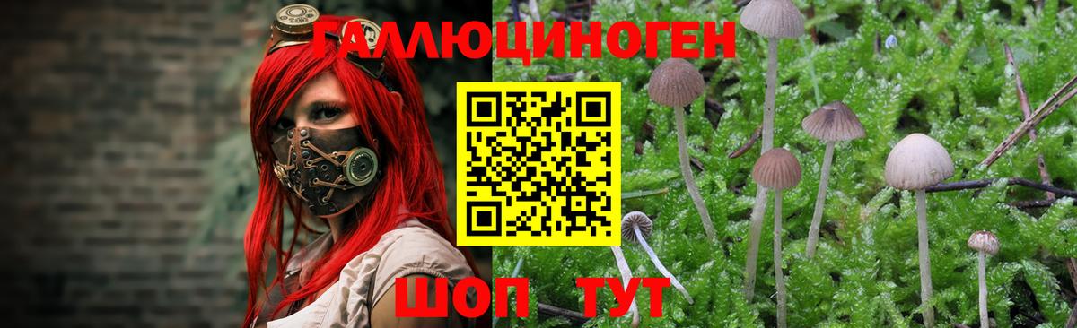 Галлюциногенные грибы прущие грибы Артёмовский